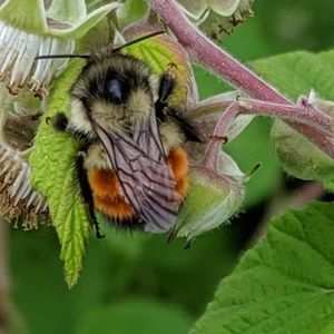 Meet your Posher, Gale
